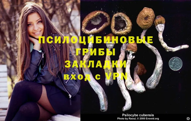 площадка телеграм  купить  сайты  Камызяк  Галлюциногенные грибы Psilocybe 